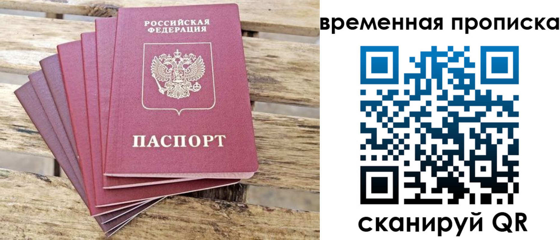прописка в квартире в Светлогорске