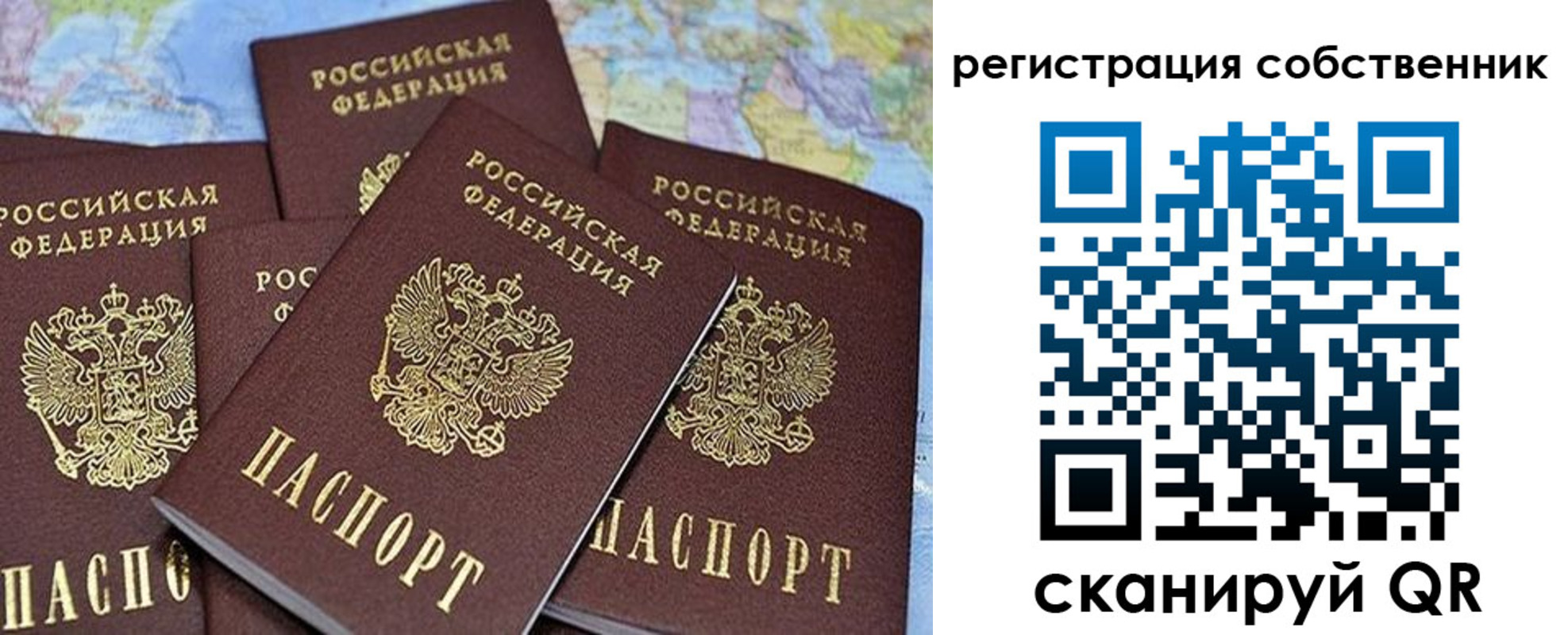 прописка для школы в Светлогорске